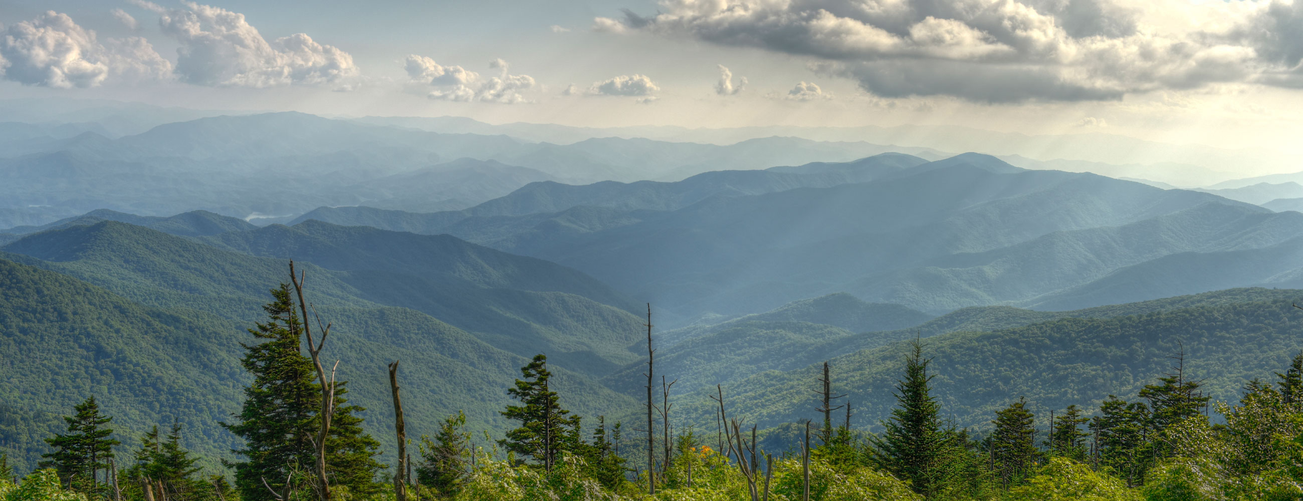 Generic Meds Generic Meds